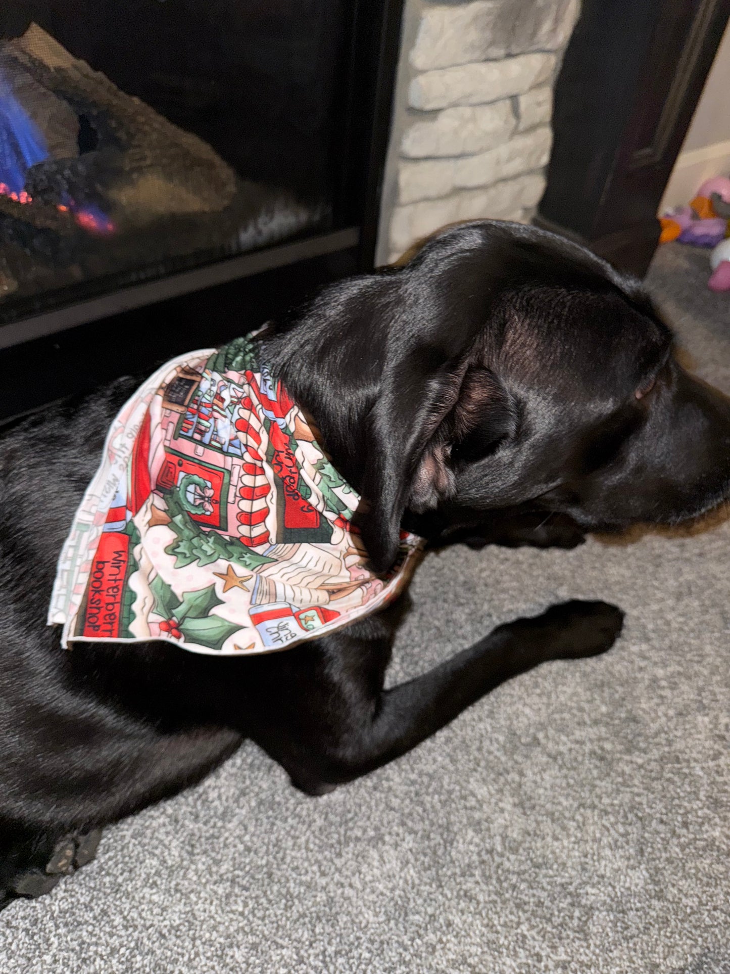 PET BANDANA - BOOKED FOR THE HOLIDAYS