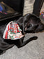 PET BANDANA - BOOKED FOR THE HOLIDAYS