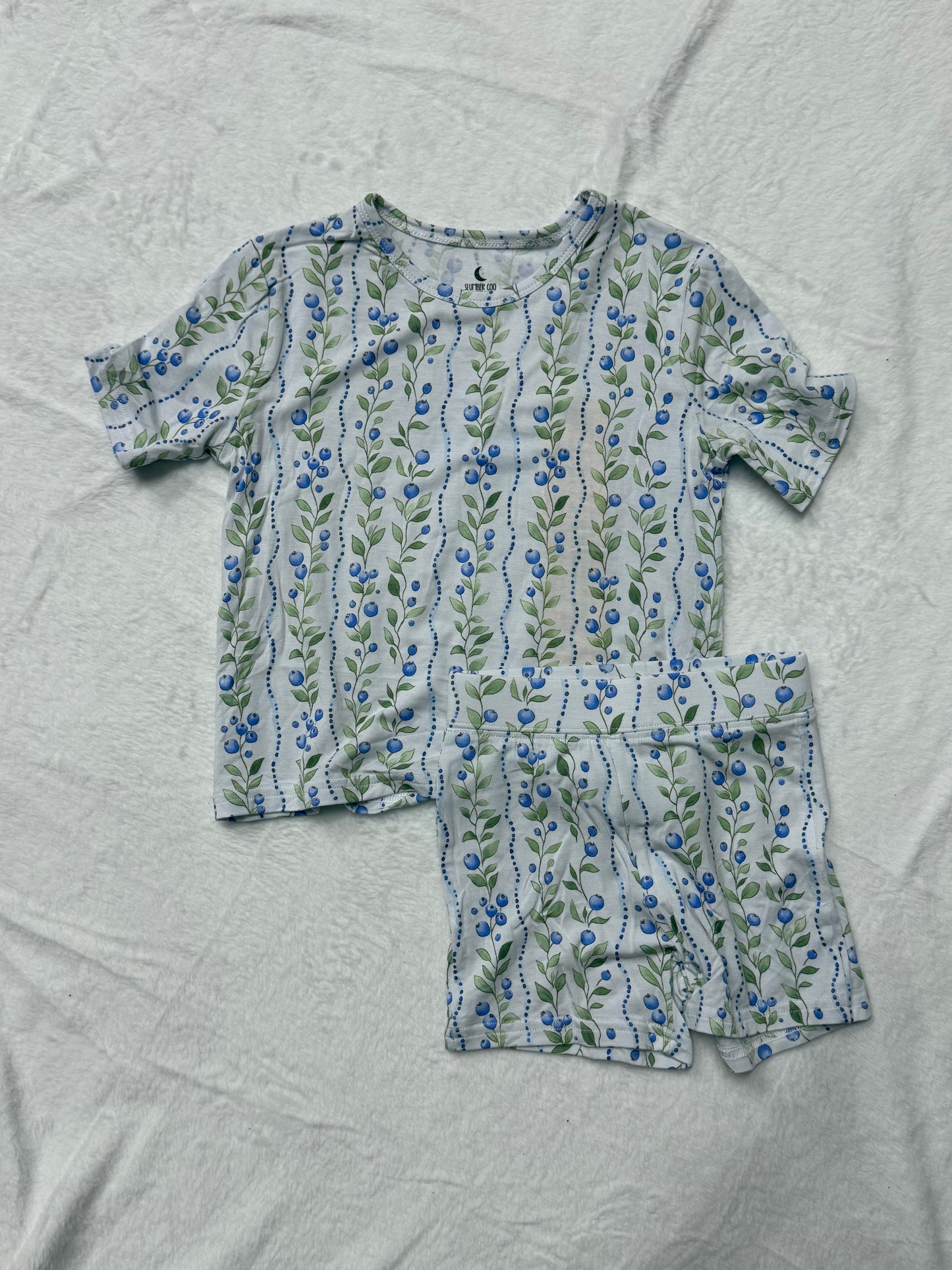 TWO PIECE BOXY SS SET - BLUEBERRY DELIGHT