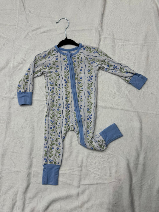 ZIPPY - BLUEBERRY DELIGHT