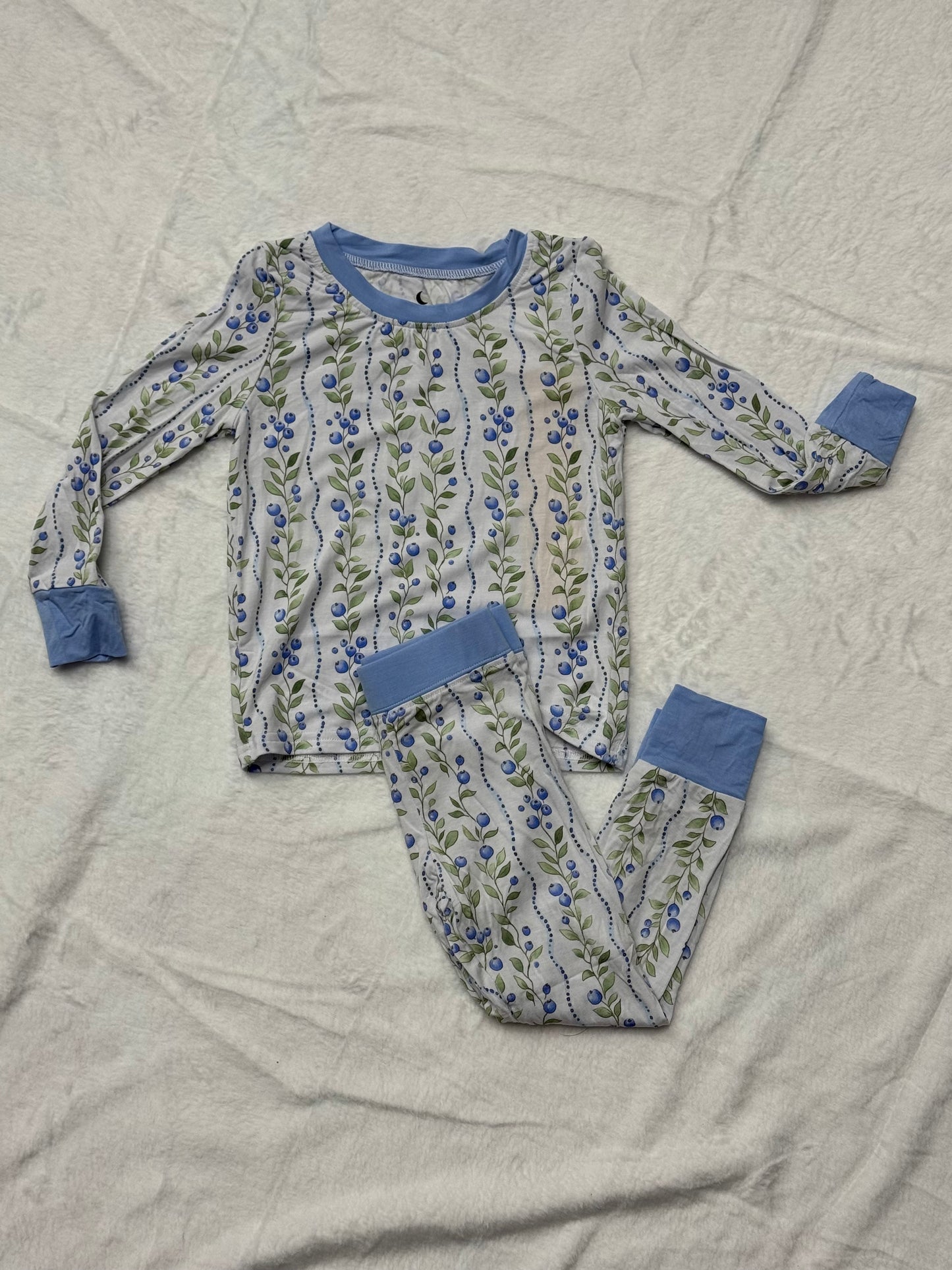 TWO PIECE LS SET - BLUEBERRY DELIGHT