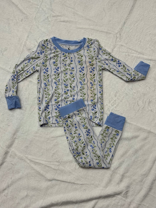 TWO PIECE LS SET - BLUEBERRY DELIGHT