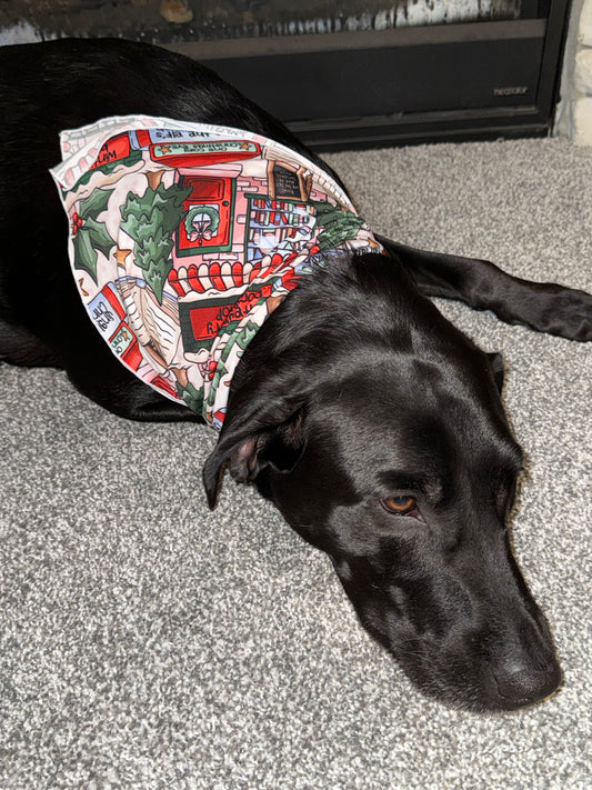 PET BANDANA - BOOKED FOR THE HOLIDAYS