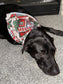 PET BANDANA - BOOKED FOR THE HOLIDAYS